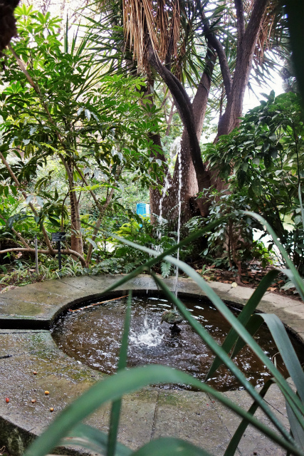 b0064411_07420948.jpg