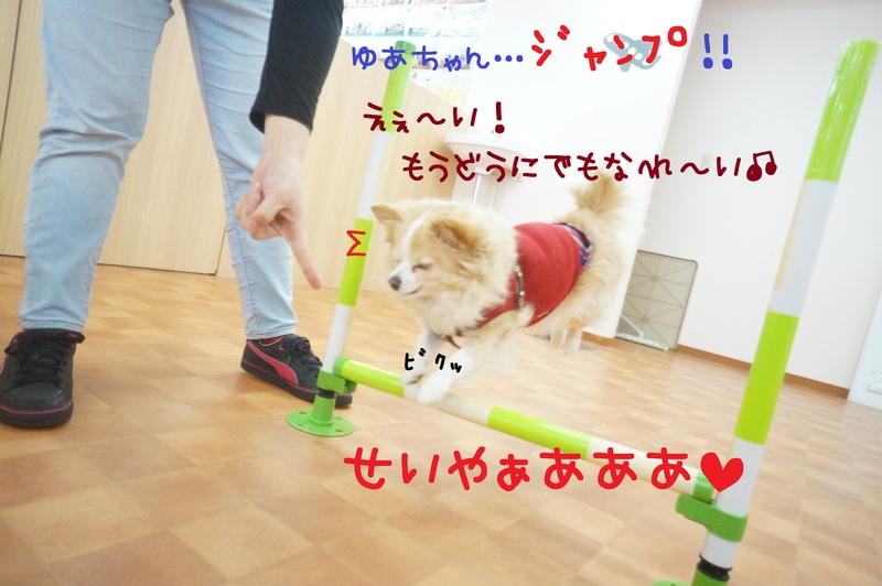 d0220513_171511.jpg