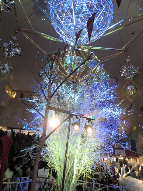 c0236632_815942.jpg