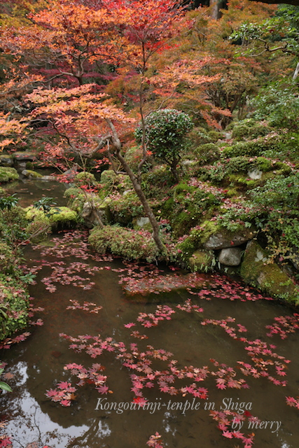 a0207736_22433559.jpg