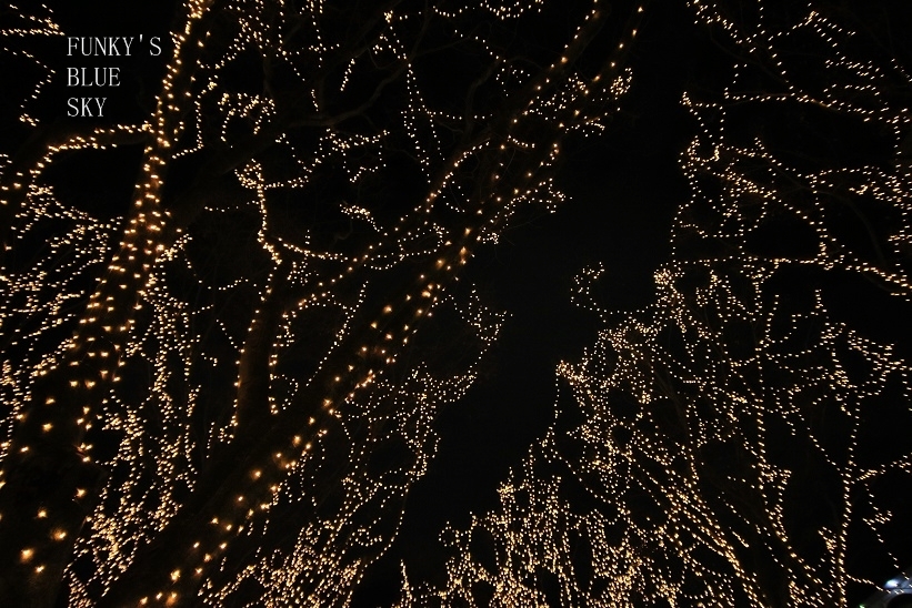 c0145250_10062085.jpg