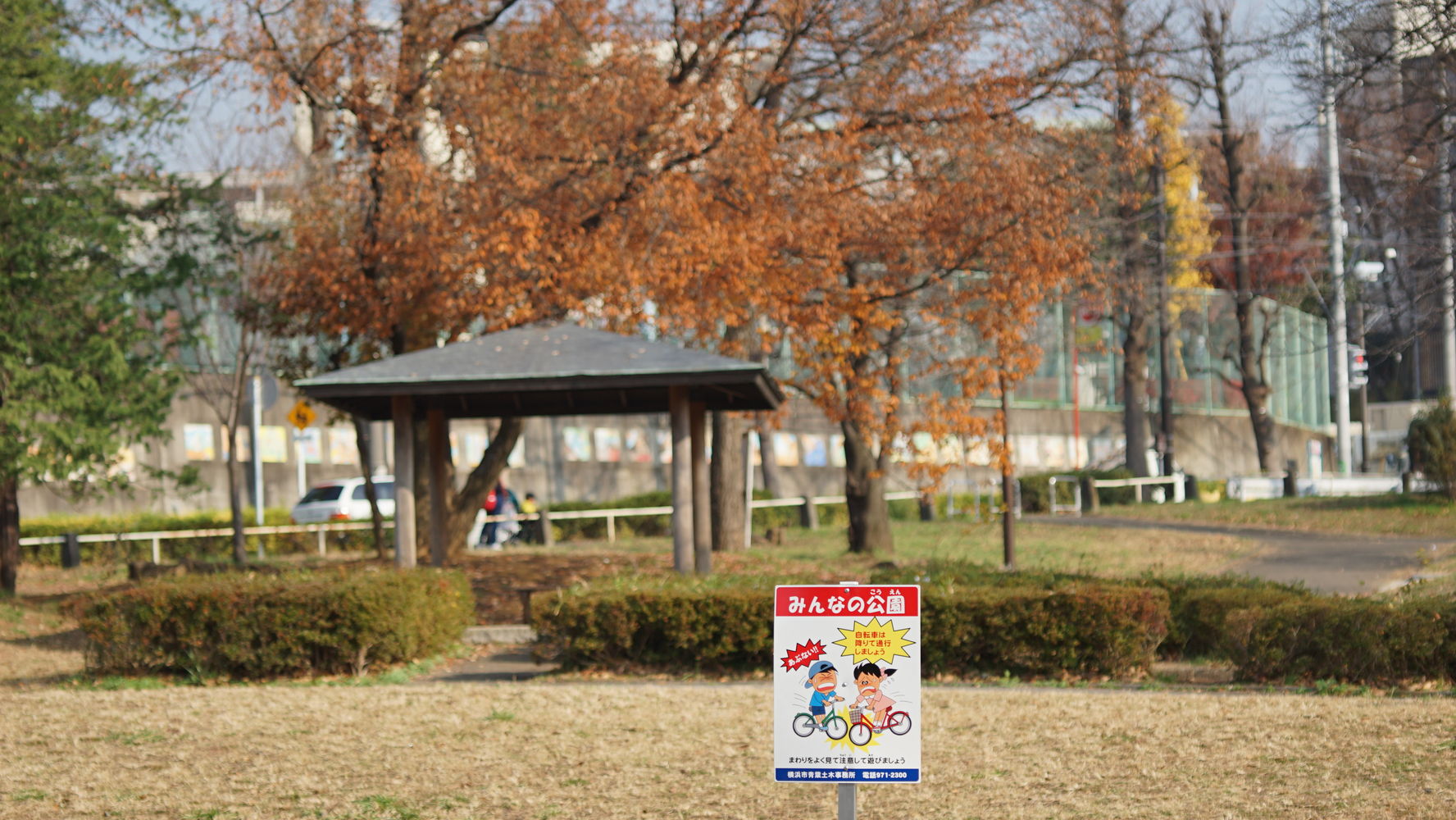 a0063552_21563765.jpg