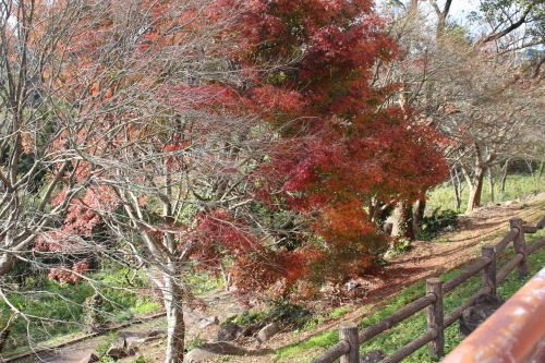 d0342461_15031350.jpg