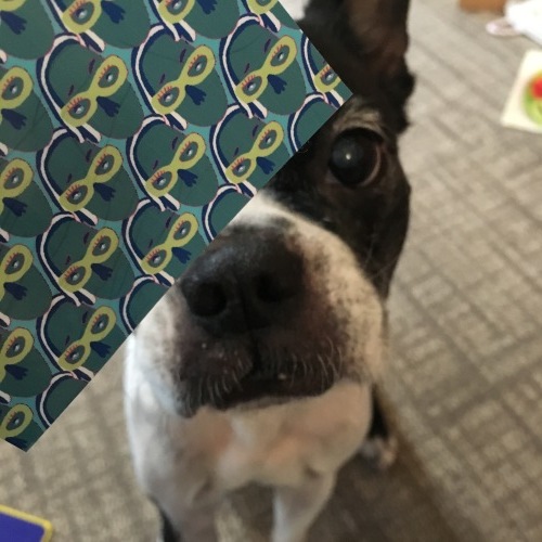 d0041575_21145977.jpeg