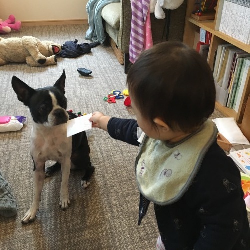 d0041575_21153648.jpeg