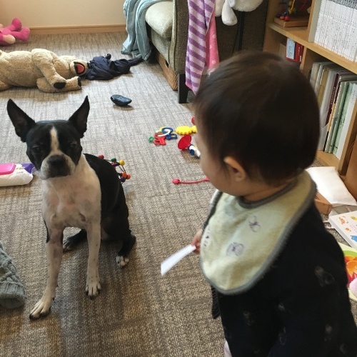 d0041575_21160155.jpeg