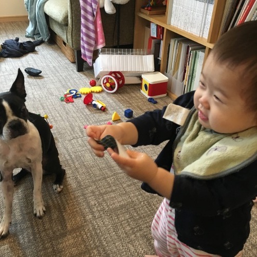 d0041575_21163056.jpeg