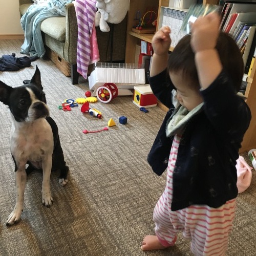 d0041575_21165322.jpeg