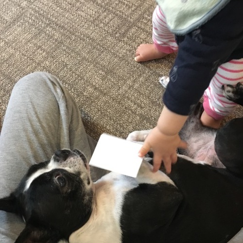 d0041575_21191327.jpeg