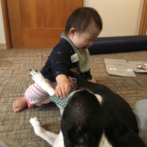 d0041575_21194512.jpeg