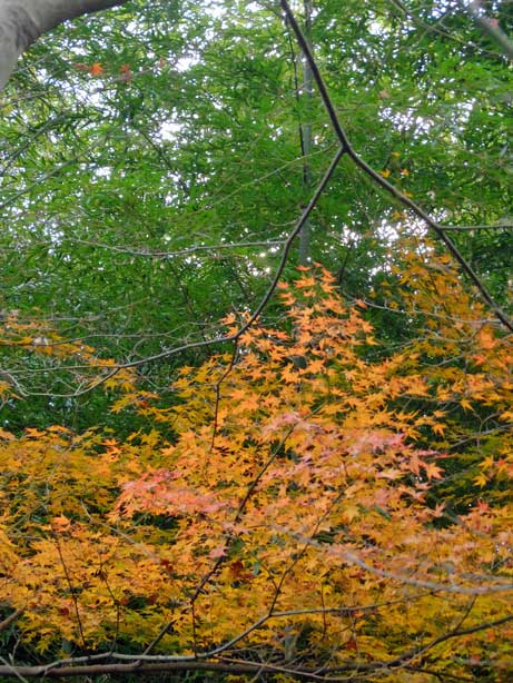 f0089079_22201247.jpg