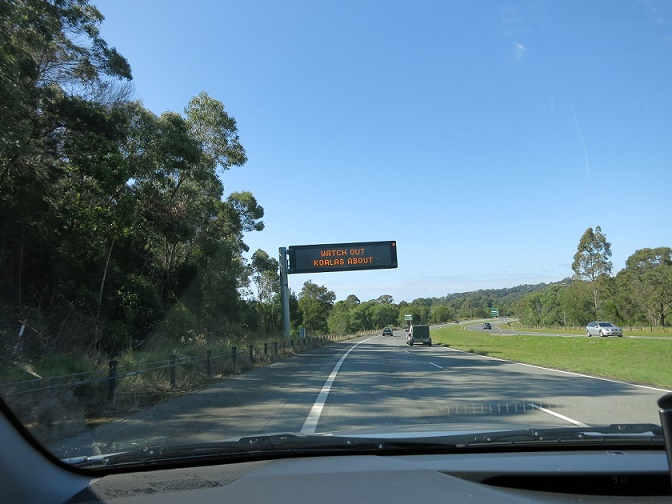e0126680_795749.jpg