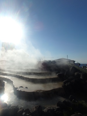 d0174683_3293420.jpg