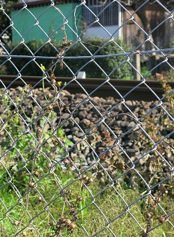 e0130185_15204150.jpg