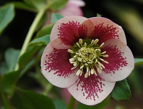f0201297_20124821.jpg