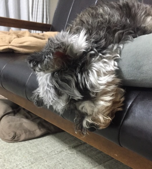 b0188998_22212488.jpeg