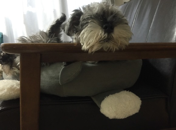 b0188998_22215396.jpeg