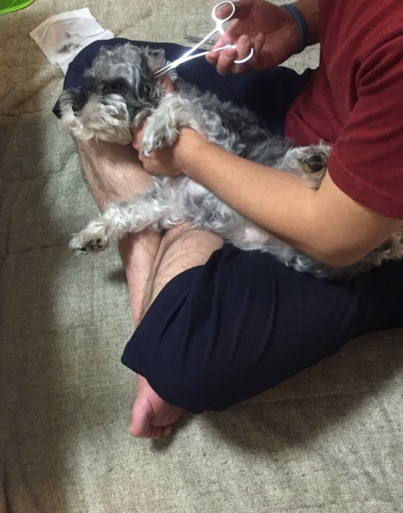 b0188998_22241432.jpeg