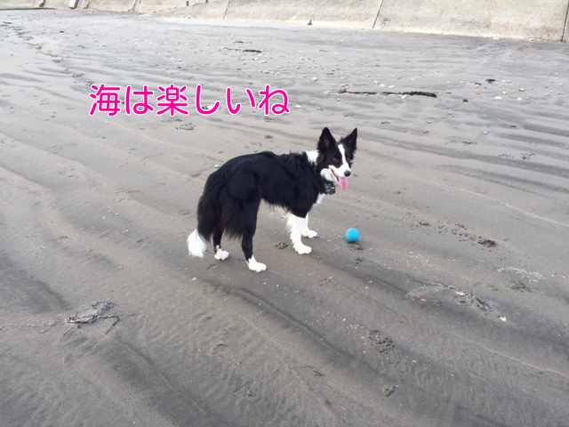 a0232619_20511929.jpg
