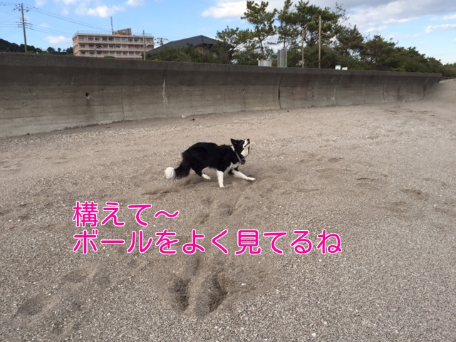 a0232619_2051466.jpg