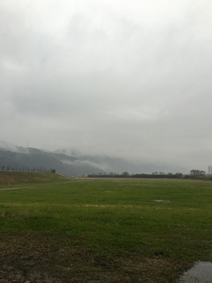 c0114121_0104611.jpg