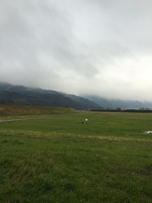 c0114121_22421687.jpg