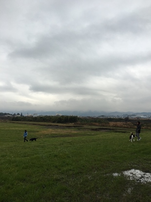 c0114121_22422369.jpg
