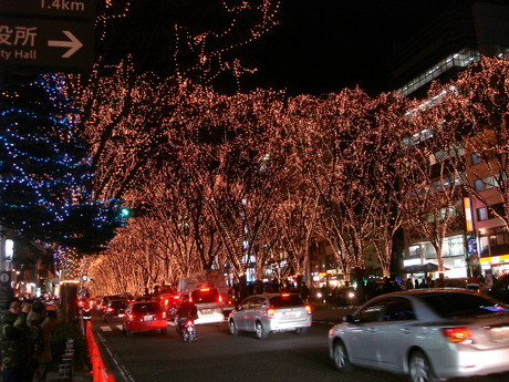 d0250123_20204022.jpg