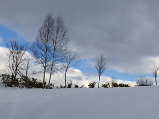 c0051529_13182680.jpg