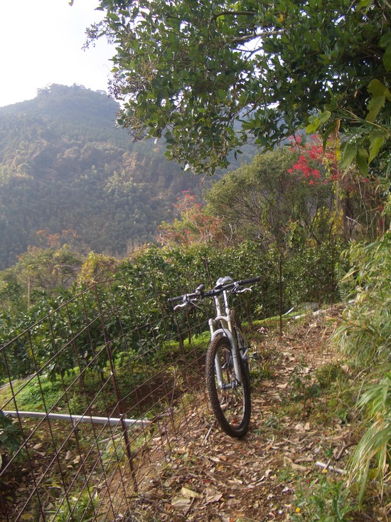 b0222530_1655424.jpg