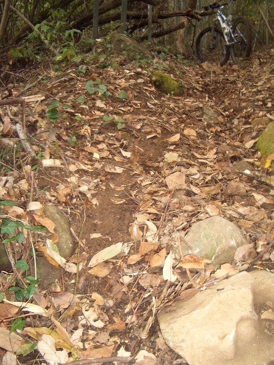 b0222530_16562068.jpg
