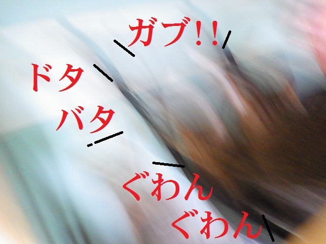 a0337237_14281554.jpg