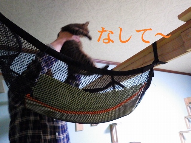 a0337237_14283205.jpg