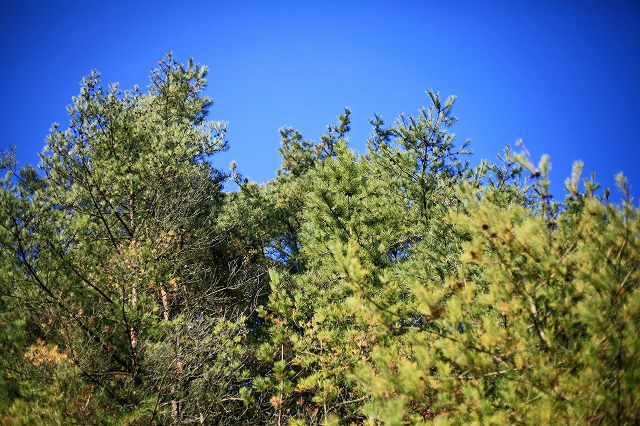 a0242438_20193042.jpg
