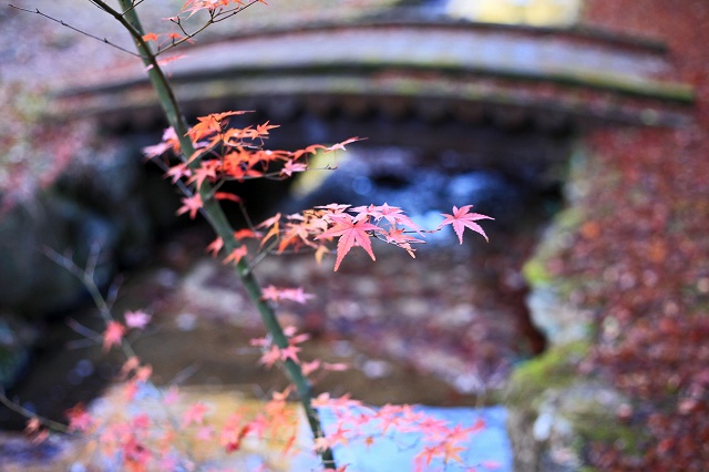 a0242438_201992.jpg
