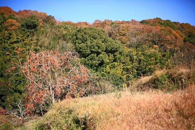 a0242438_20224444.jpg