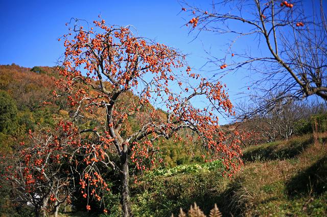 a0242438_20225736.jpg