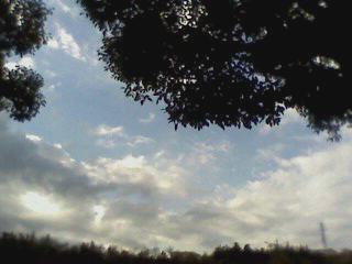 e0150843_23175175.jpg
