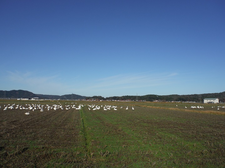 a0237349_14583928.jpg