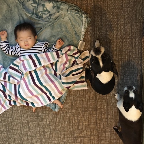 d0041575_21264317.jpeg