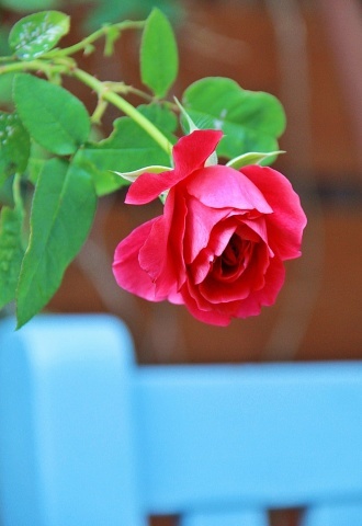 e0154682_18202276.jpg