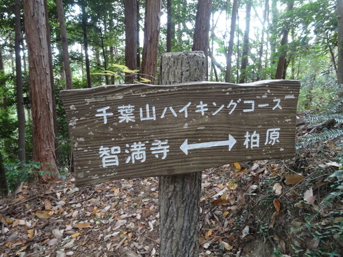 d0212491_16501558.jpg