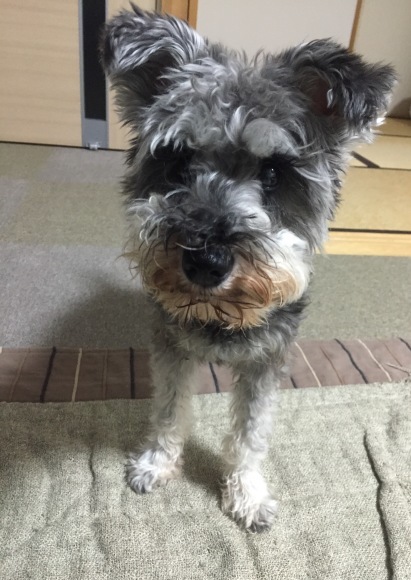 b0188998_23275437.jpeg