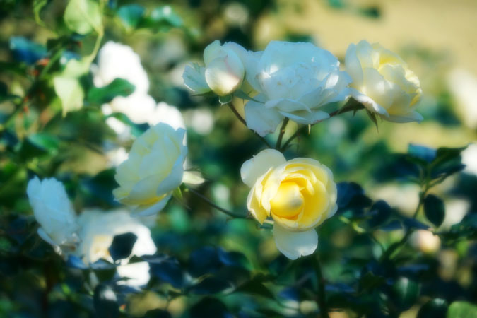 a0263109_9231121.jpg