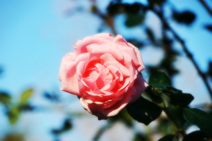a0263109_9253198.jpg