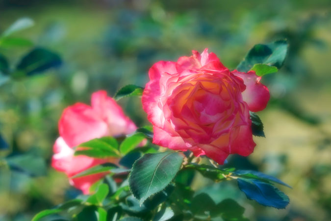 a0263109_9254273.jpg