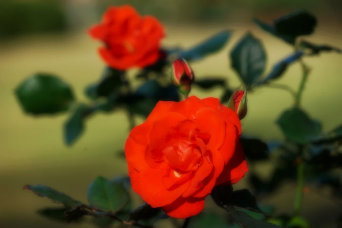 a0263109_92595.jpg