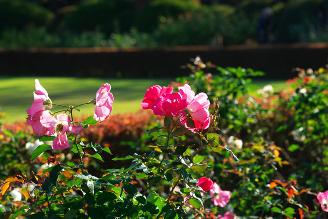 a0263109_9261654.jpg