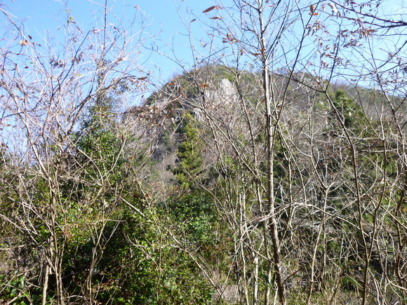d0170615_13513976.jpg
