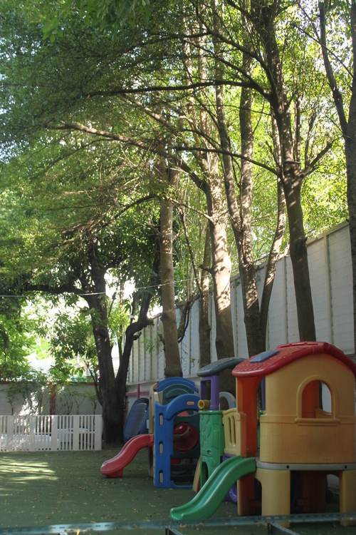 f0233916_1001548.jpg